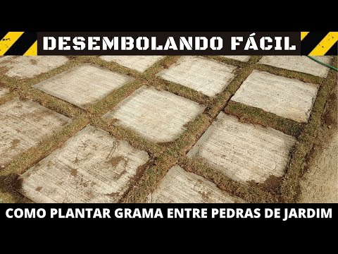 COMO PLANTAR GRAMA ENTRE AS PEDRAS DE SEU JARDIM