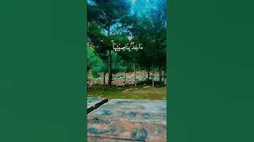 سورة هود                                  الآية  ٥٦            ،      القارئ فارس عباد