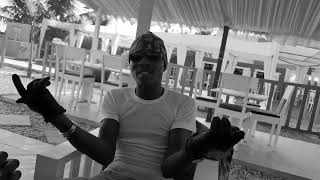 King Kaboos - Alligator Visualizer