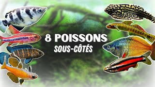 8 POISSONS SOUS-CÔTÉS EN AQUARIUM !