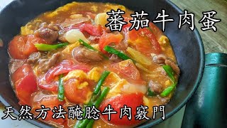 蕃茄牛肉/肉片蛋/醃軟滑牛肉竅門/兒童餐/簡單 家常/好餸飯/新手 入門/廣東話/中字