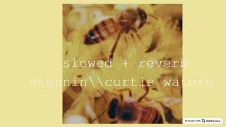 slowed + reverb || curtis waters