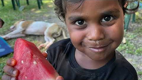 Mossman Gorge Microgrid: Thanks for your support in 2025