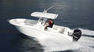 Seagame modello 250 cc screenshot 3