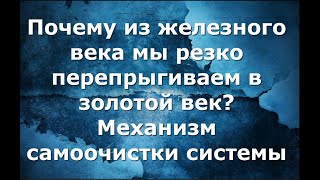 Почему из железного века мы резко перепрыгиваем в золотой век Механизм самоочистки системы