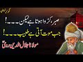 Moulana rumi quotes in urdu  beautiful quotes  gohar e sukhan