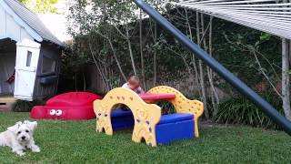 Picnic table fail