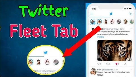 Twitter Fleets | How to Use Twitter Fleets? Twitter Stories | Twitter Feature Update |Twitter Update