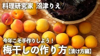 今年こそ、「 梅干し 」を手作りしよう！ 失敗しない 作り方 【 漬け方 編／ ちょこっと漬け ＃33】｜ kufura  [ クフラ ]