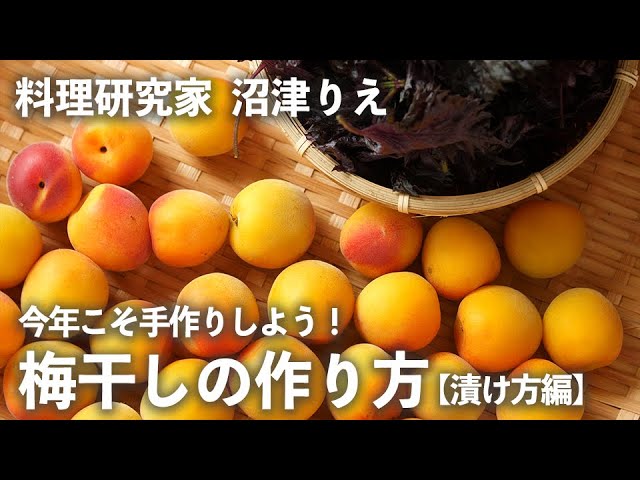 今年こそ 梅干し を手作りしよう 失敗しない 作り方 漬け方 編 ちょこっと漬け 33 Kufura クフラ Youtube 今年こそ 梅干し を手作りしよう 失敗しない 作り方 漬け方 編 ちょこっと漬け 33 Kufura クフラ Youtube