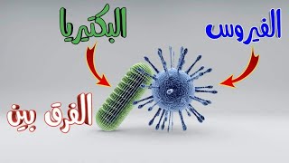 الفرق بين الفيروسات والفطريات والبكتيريا