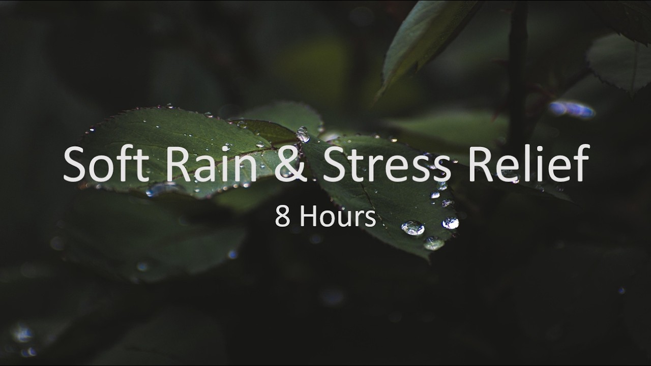 Black Screen Soft Rain for Stress Relief – 8 Hours | Calm Nature Ambience