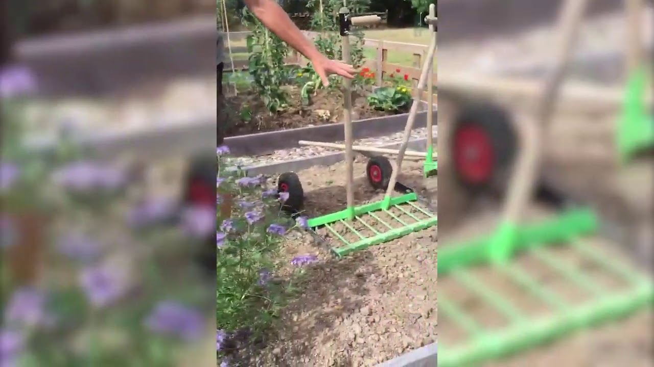 Les engrais vert - La Phacélie