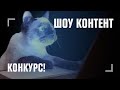 КОНКУРС! «Шоу контент» с Бурдашевым — выбирай победителя и забирай призы