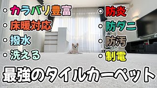 【最強スペック】ペット家庭に最適のタイルカーペットを教えます！