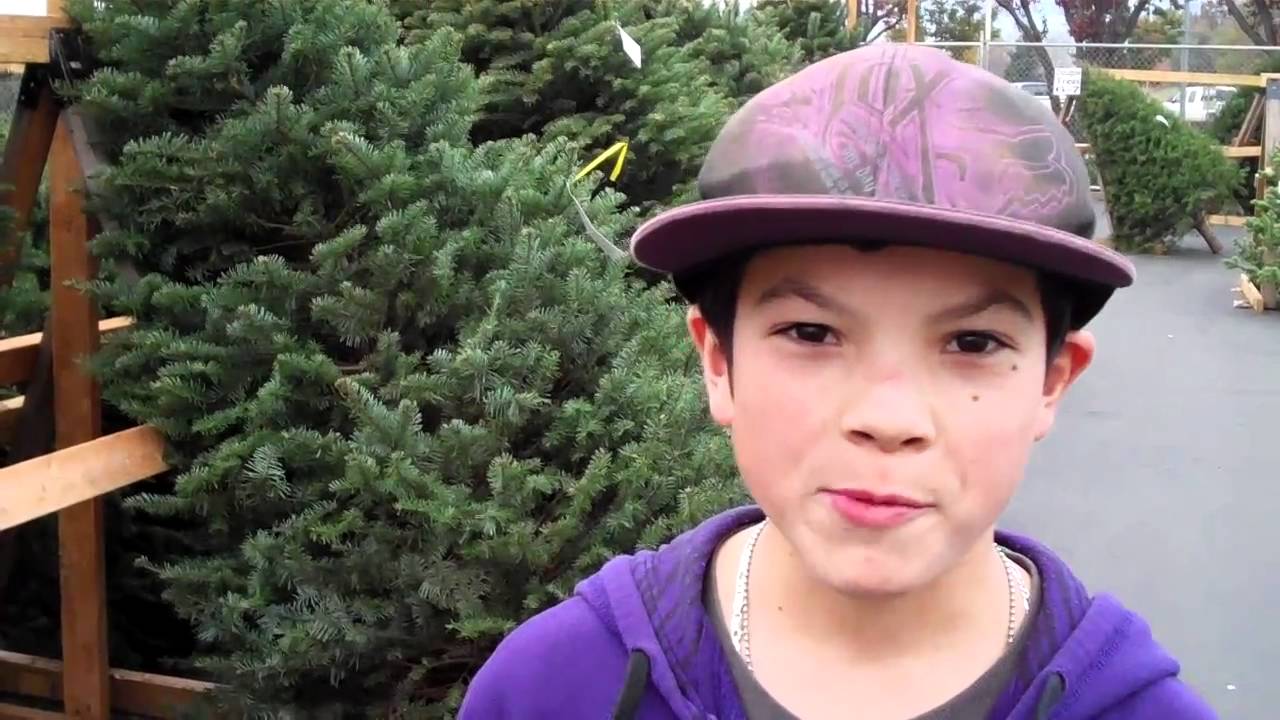 Lawson talks about the Boy Scout Christmas Tree Lot YouTube