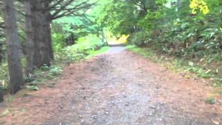 ヒグマに注意の看板の出てる道