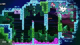 Celeste Any% Tutorial | Reflection Part 2 Net Worth