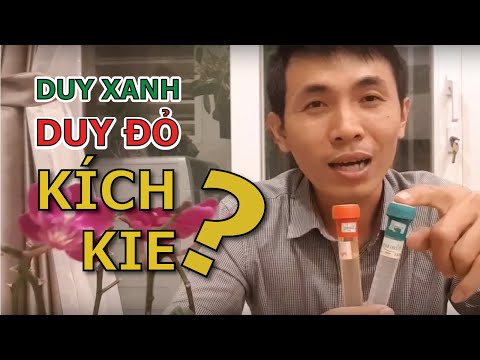 NÊN dùng Kie Duy XANH (Pray) hay Kie Duy ĐỎ (Pro) để Kích Kie hiệu quả? | Foci