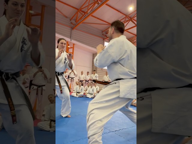 Cristian Boldut Fight Camp 2026 #kyokushin #shinkyokushin #karate #1kyokushin #一極真 #極真会館