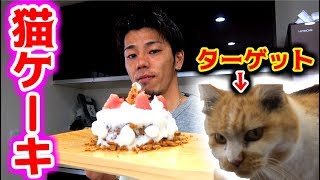 無添加食品を使って猫用のケーキ作ってみたら・・・