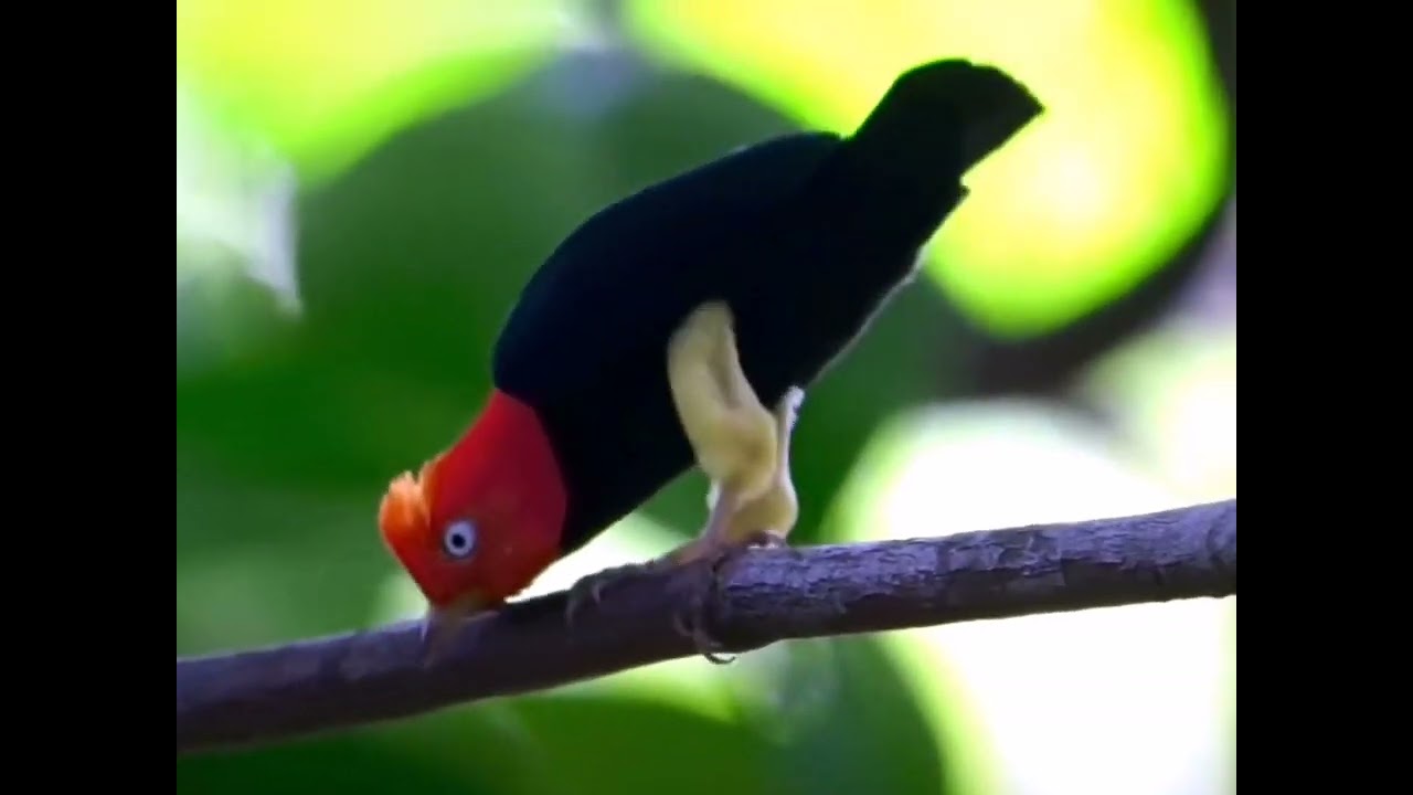 NDA Kerala nice view 