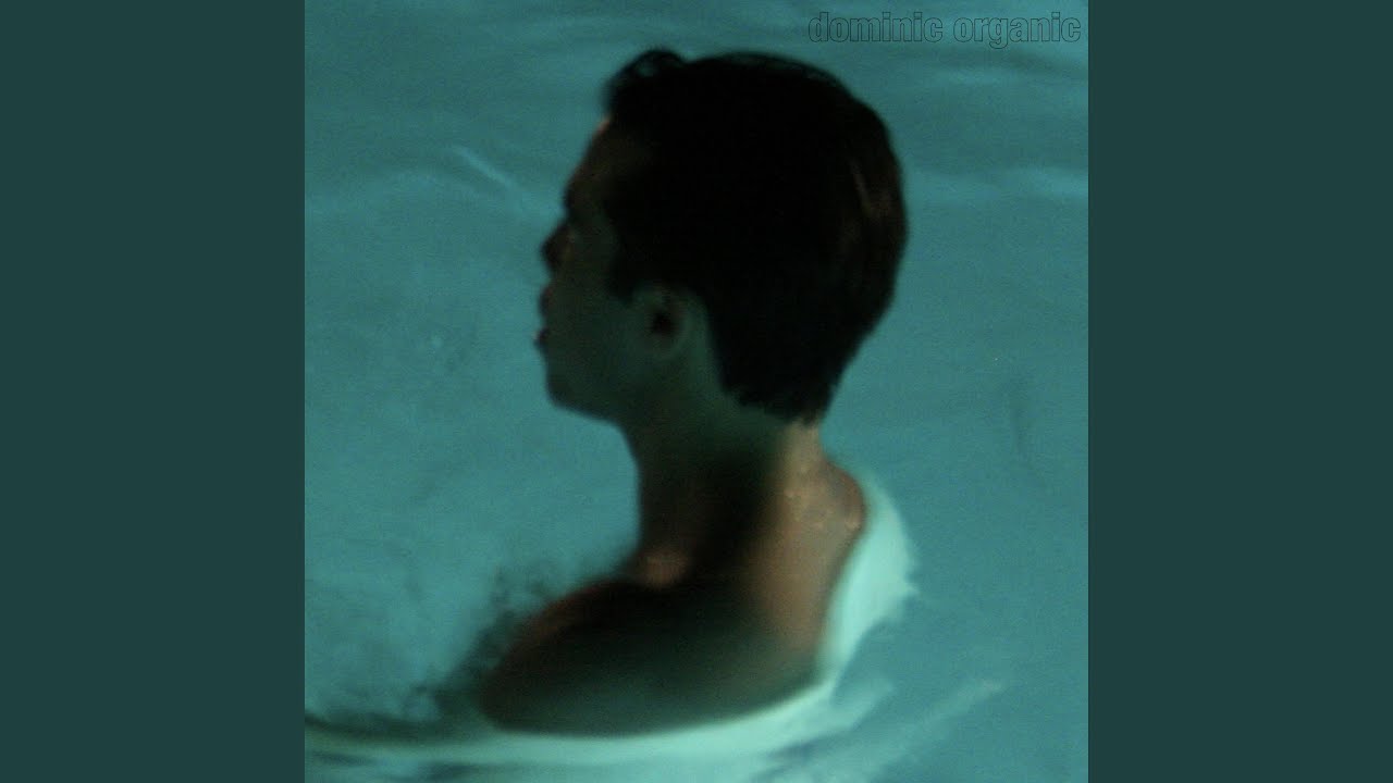 YouTube에서 Firebird 보기 YouTube에서 Firebird 보기