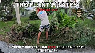 Finding FREE Tropical Plants in the Trash! | The Plant Pirates Episode 137