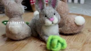 Woollypets - Easter Bunny with Carrot Needle Felting Demo - Full version by Woollypets