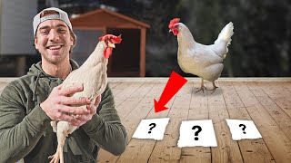 Arnold bestämmer min dag