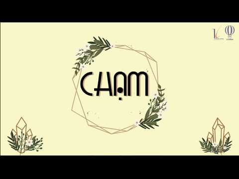 Video Giới thiệu các CLB tại trường Đại học Thăng Long - YouTube