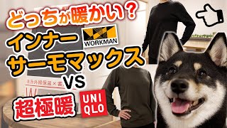 【ワークマン】サーモマックス インナーとユニクロの超極暖 暖かさ比較【柴犬】