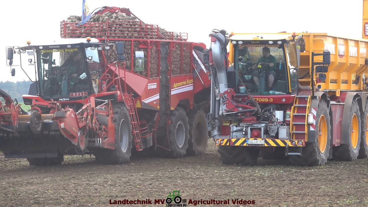 Grimme - Vredo - Fendt - Class / Rübenernte - Harvesting Beets  2022  pt.1