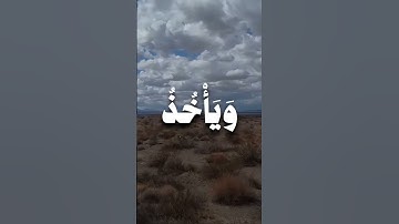 ما تيسر من القران الكريم 🤍   القارئ/ ياسر الدوسري. #المصحف #اكسبلور #راحة_نفسية