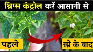 थ्रिप्स कंट्रोल करें आसानी से | Best Thrips Control Insecticide | Power Grow Arex