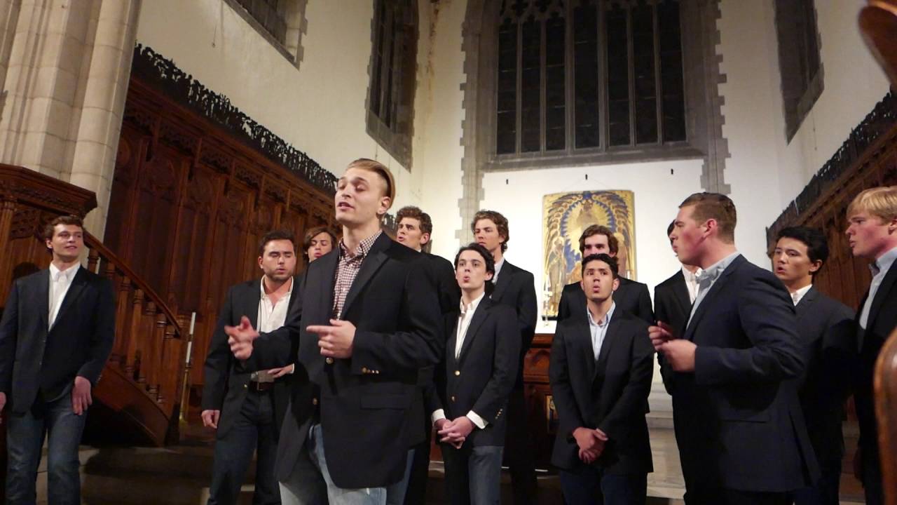 New York, I Love You But You're Bringing Me Down (A Cappella) - The Trinity College Accidentals