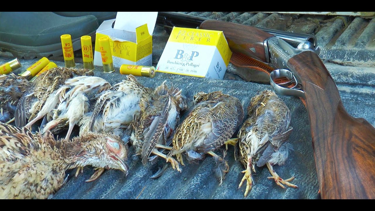 Cartucce Baschieri & Pellagri da apertura: F2 classic fiber calibro 20