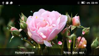 Spring Rose live wallpaper screenshot 4