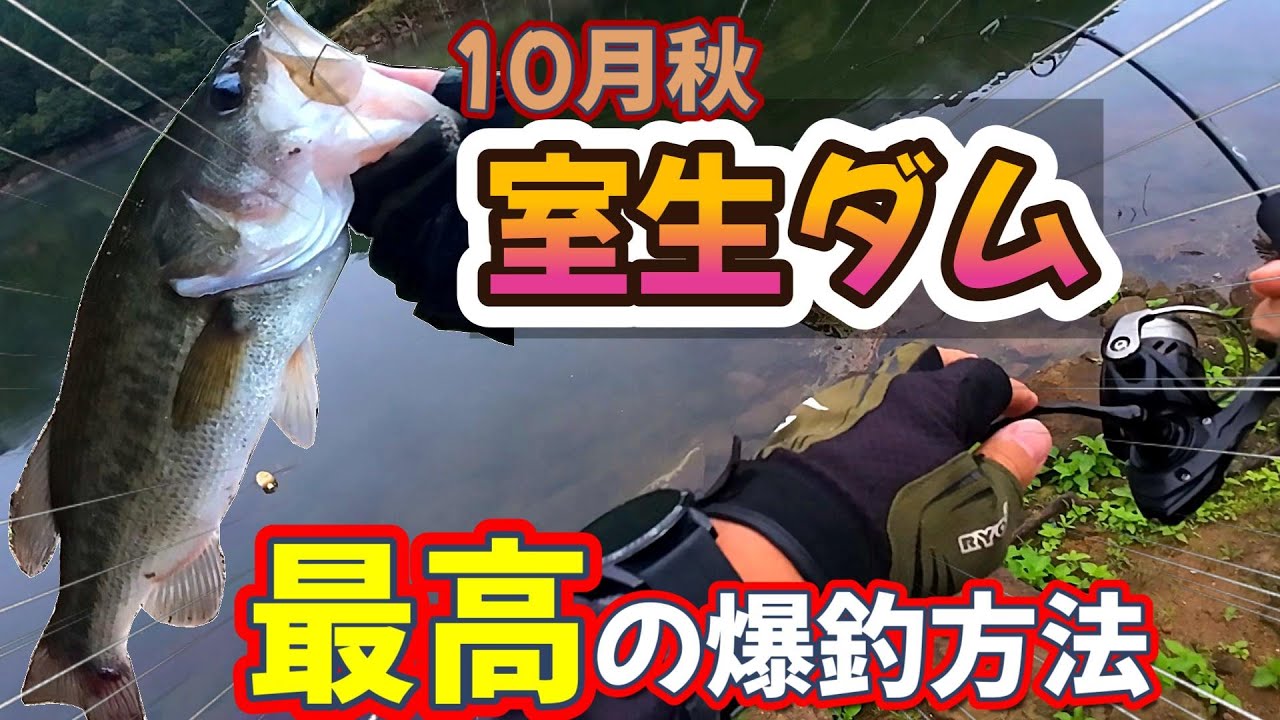 【バス釣り10月秋実釣】室生ダム、最高の爆釣方法とは？！