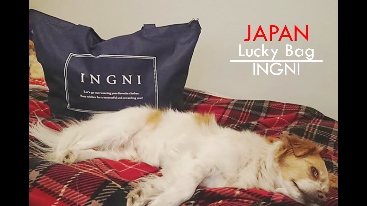 Japanese Clothing Lucky Bag 2019 Try On Ingni Fukubukuro 福袋