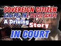 Sovereign Citizen Dropped The Sovcit Script and Getting Drivers License Back - In Court - 4