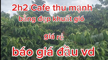 2h2 Cafe, đất bằng, khuất gió, khu dân cư, nhà cửa đầy đủ, giá rẻ 