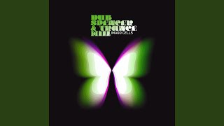 Trance Plane - Dub Spencer & Trance Hill