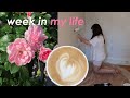 organizing my small Toronto apartment, painting and stuff :) | weekly vlog