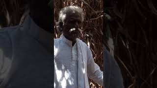 Trinadharao 8374866349