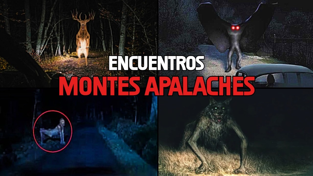 Miniatura del video: Los Encuentros más Extraños en los Montes Apalaches🏔️ (Criaturas desconocidas)