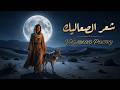 شعر الصعاليك مع الشرح ومقاطع انكليزية مترجمة لامية العرب mp3