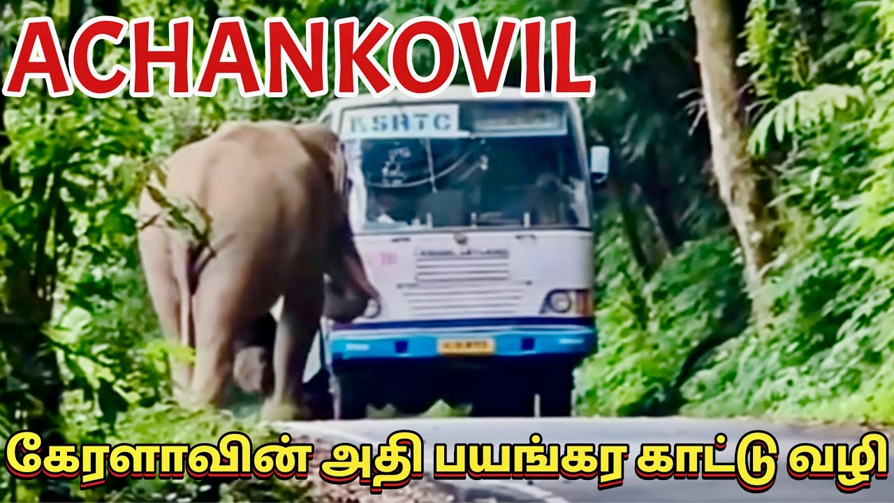 ACHANKOVIL TO KONNI RESERVE FOREST 72 KM TOUGHEST OFF ROAD VERY DANGEROUS RIDE MY THAR GET DAMAGED😭😭