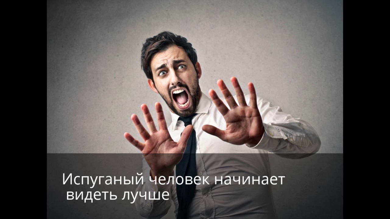 Интересные факты о человеке - YouTube