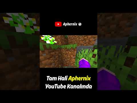 Video: Minecraft-da Aphmaunun soyadı nədir?